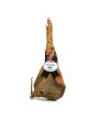 1 - ANTICA MACELLERIA FALORNI Jambon de Cinta Senese avec os et couenne 8 kg – DLC 6 mois - affiné 16 mois