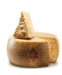 1 - BONI SPA Grana Padano g.U. - ganze Form 38 kg - RLZ 1 Jarh – 17 Monate gereift