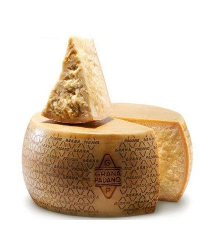 1 - BONI SPA Grana Padano g.U. - ganze Form 38 kg - RLZ 1 Jarh – 17 Monate gereift