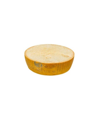 1 - BONI SPA Parmigiano Reggiano g.U. - 1/2 Form 20 kg - RLZ 4 Monate – 24 Monate gereift