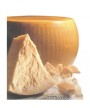 1 - BONI SPA Parmigiano Reggiano g.U. Riserva – ganzer Laib: 39 kg – RLZ 1 Jahr – 36 Monate gereift