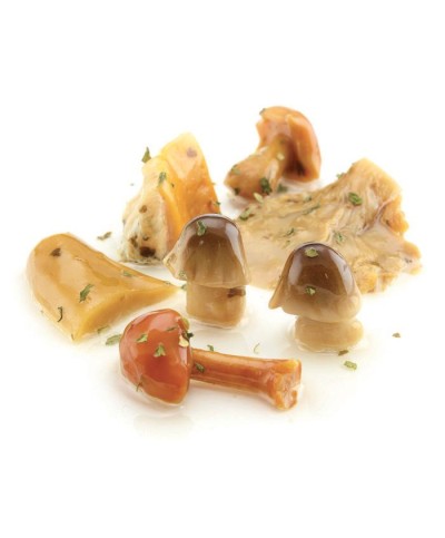 1 - CASTELLINO Porcini and mixed grilled mushrooms 1,9 kg - EXP 6 months