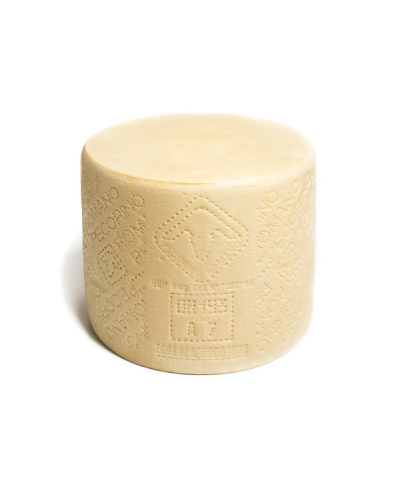 1 - SEPI FORMAGGI Römischer Pecorino-Käse g.U. - 32 kg – RLZ 6 Monate – 5 Monate gereift