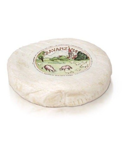 1 - CASEIFICIO DELL'ALTA LANGA Cravanzina - 260 g – RLZ 18 Tage – 2 Wochen gereift