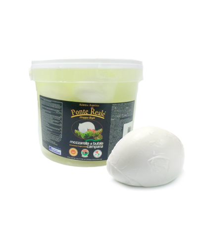 1 - PONTE REALE Büffel Mozzarella aus Kampanien g.U. aus dem Casertano Hinterland 16 x 125 g - RLZ 18 Tagen