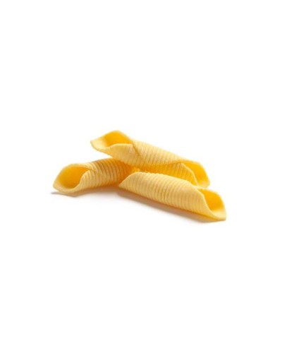 1 - FONTANETO Pasta Garganelli 500 g - TMC 2 mesi - 4 minuti di cottura