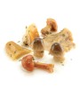 1 - CASTELLINO Porcini and mixed grilled mushrooms 1,9 kg - EXP 6 months