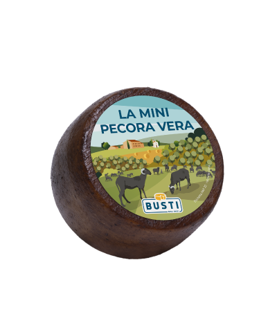 1 - BUSTI Semi-seasoned Pecorino "Mini Pecora Vera" 1 kg - EXP 3 months - aged 45 days