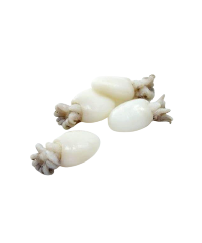 1 - ALICE LE GIOIE DEL MARE Seppioline condite 1 kg - TMC 3 mesi