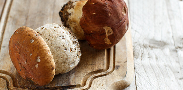 funghi porcini cucina italiana