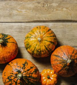 Zucca italiana: proprietà, caratteristiche ed utilizzi di un prodotto italiano esempio di biodiversità