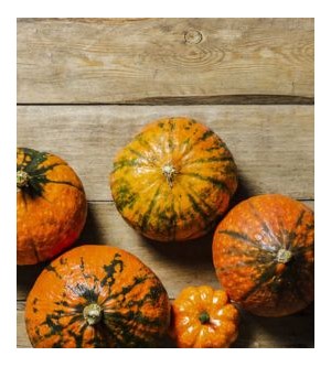 Zucca italiana: proprietà, caratteristiche ed utilizzi di un prodotto italiano esempio di biodiversità